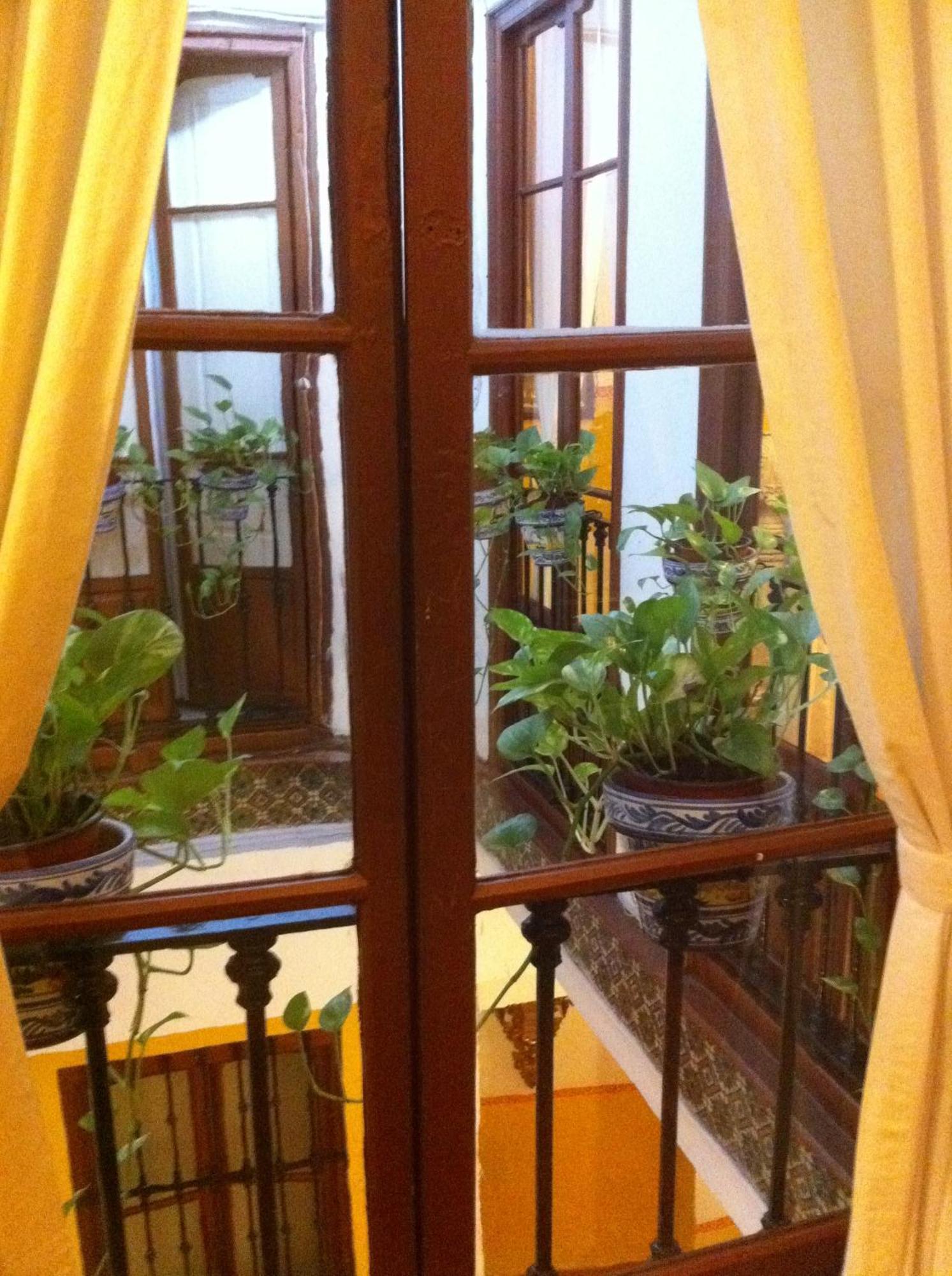 Bed & Breakfast Naranjo Seville Luaran gambar